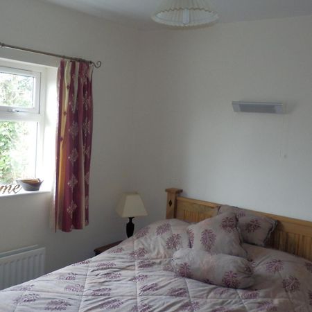Causeway Tavern Bed & Breakfast Bushmills Dış mekan fotoğraf